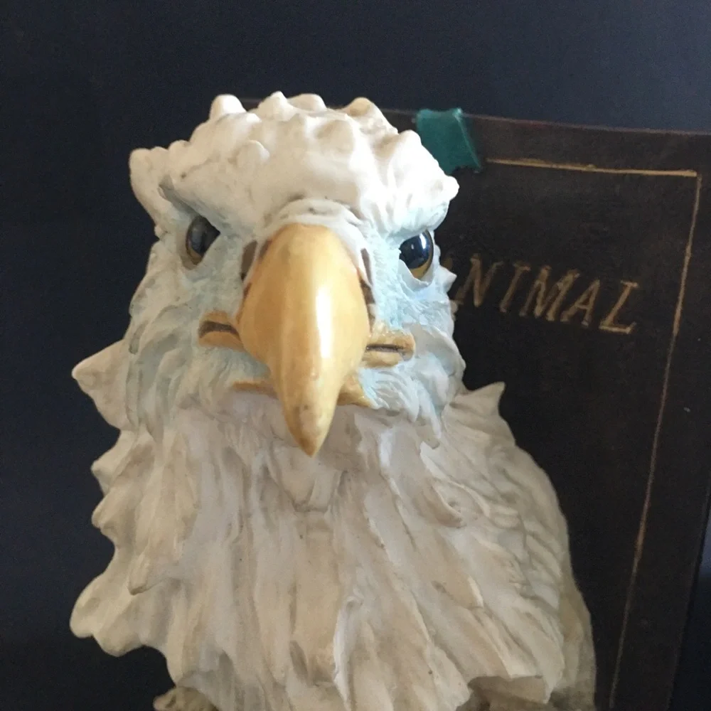 Vintage Wild Animal Eagle Bookends Fierce Realistic Eyes Ceramic Heavy 6.5” - Picture 4 of 16